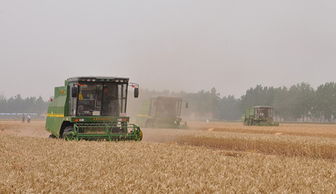 全国 三夏 大规模麦收陆续展开